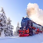 Hasseroeder Burghotel 4*