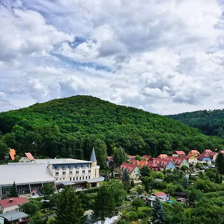 Hasseroeder Burghotel فيرنغروده