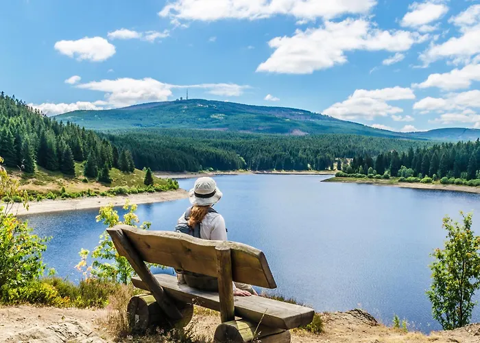 哈斯罗德伯格酒店 4*