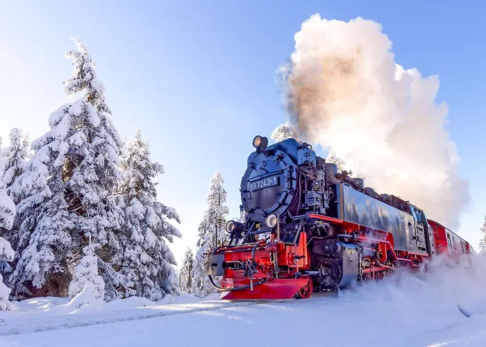 Hasseröder Burghotel 4*